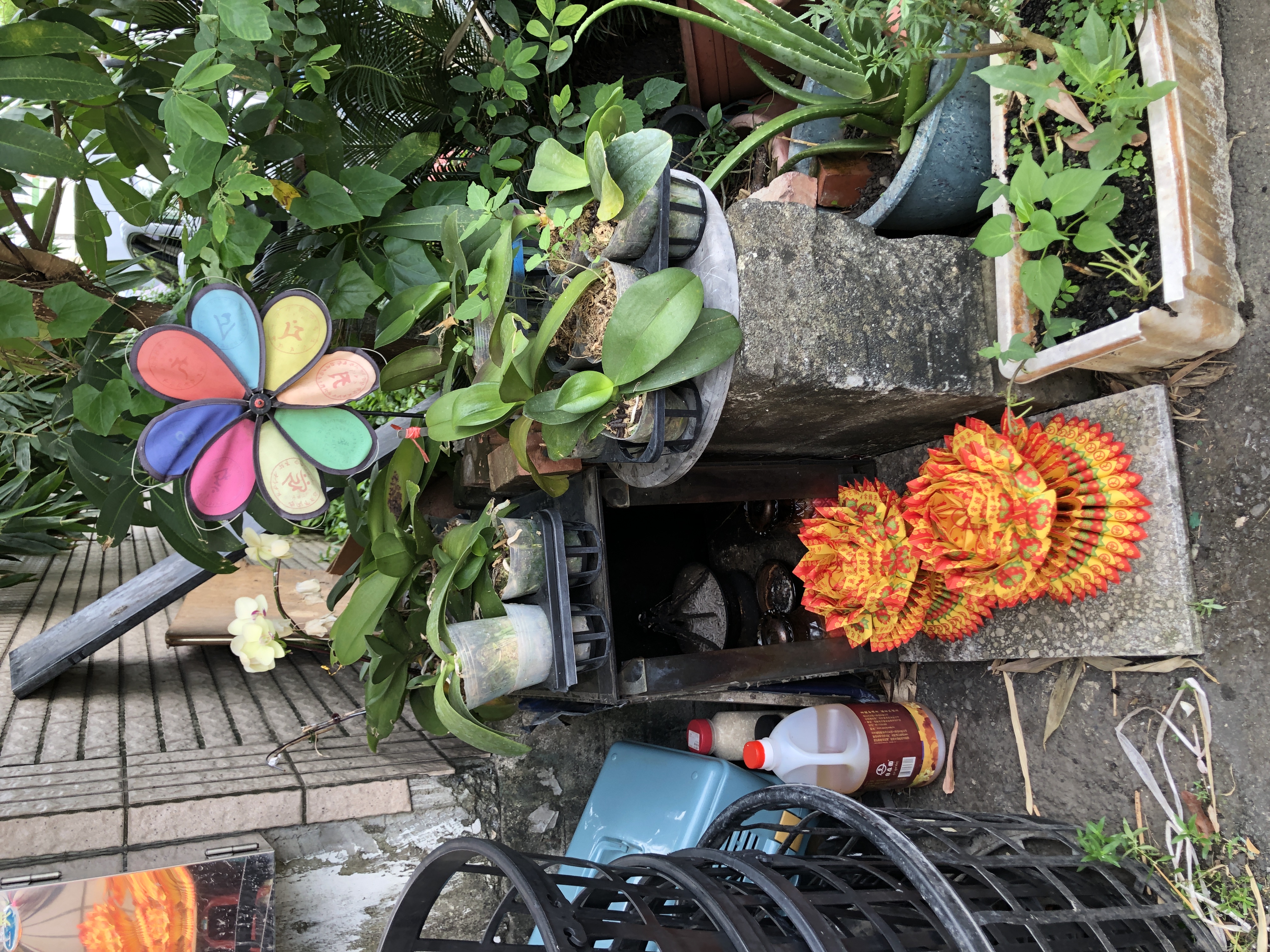 聖祐宮2025普渡 蓮花